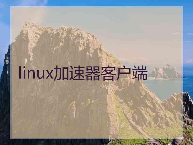 linux加速器客户端