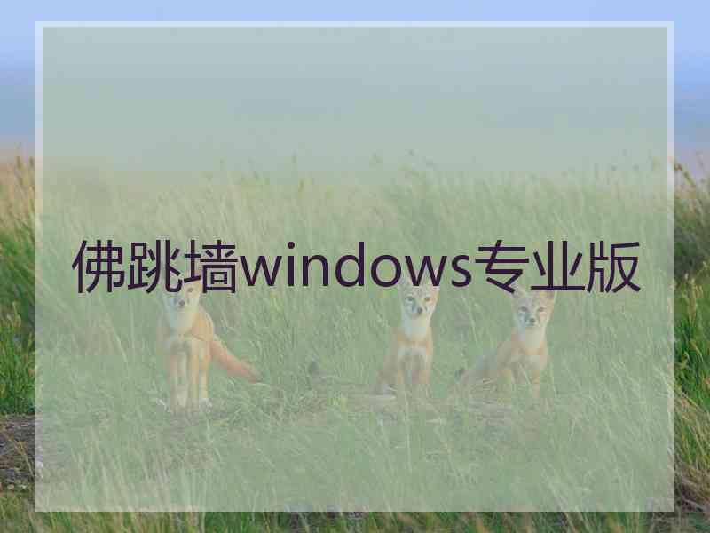 佛跳墙windows专业版