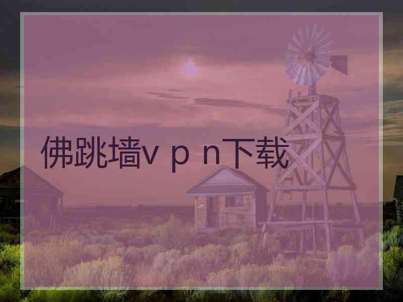 佛跳墙v p n下载