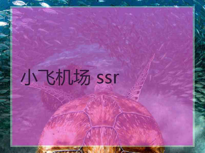 小飞机场 ssr