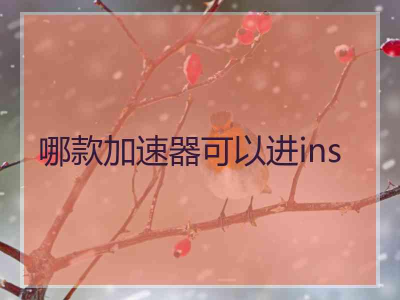 哪款加速器可以进ins