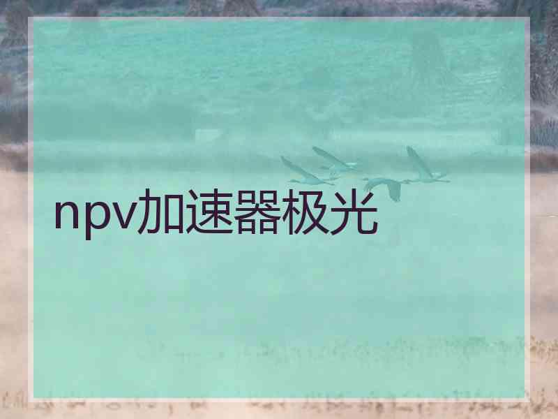 npv加速器极光