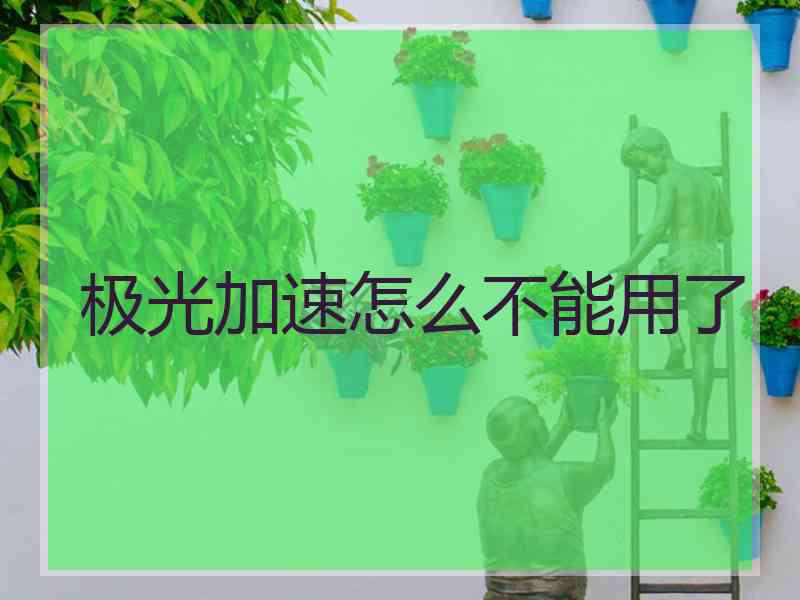 极光加速怎么不能用了