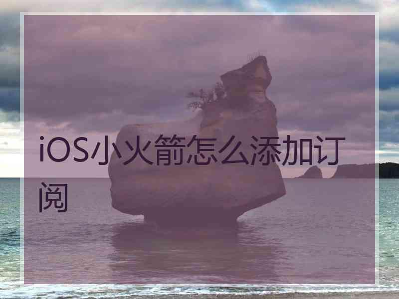 iOS小火箭怎么添加订阅