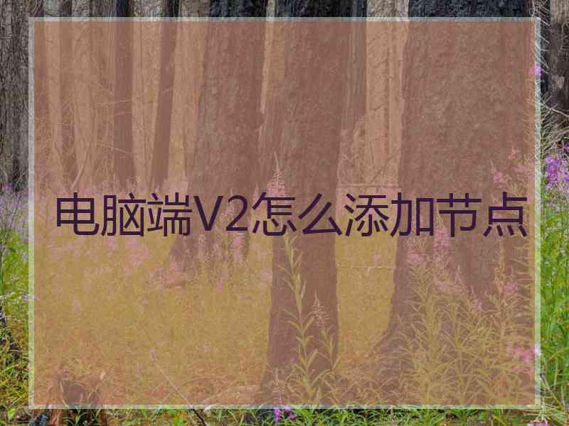 电脑端V2怎么添加节点