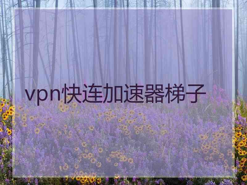 vpn快连加速器梯子