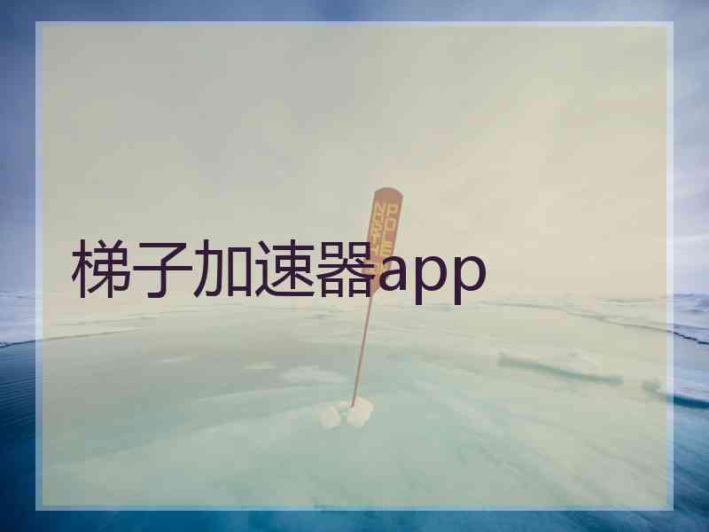 梯子加速器app