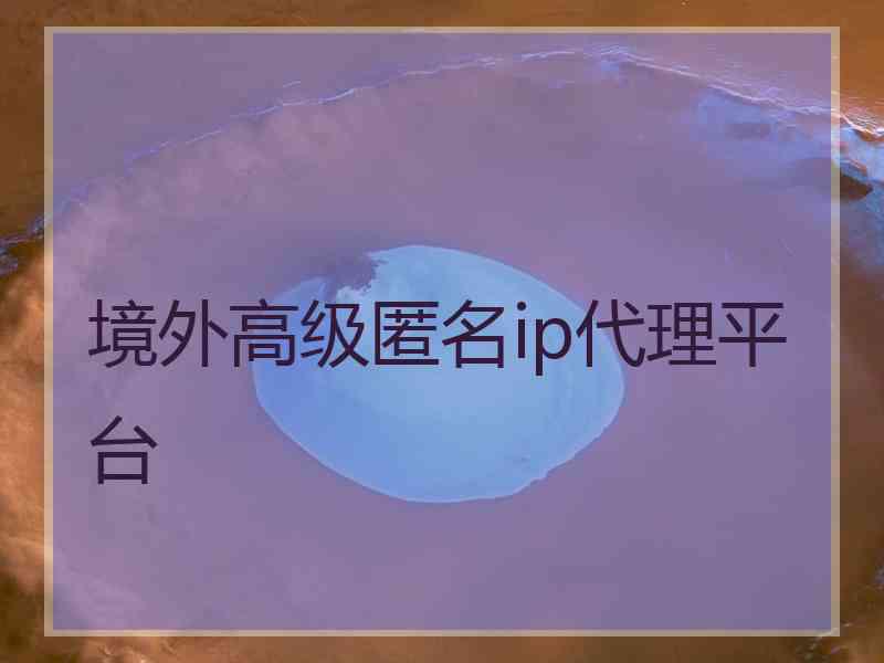 境外高级匿名ip代理平台