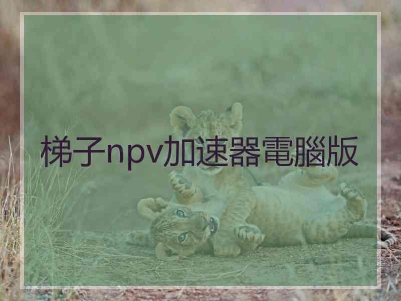 梯子npv加速器電腦版