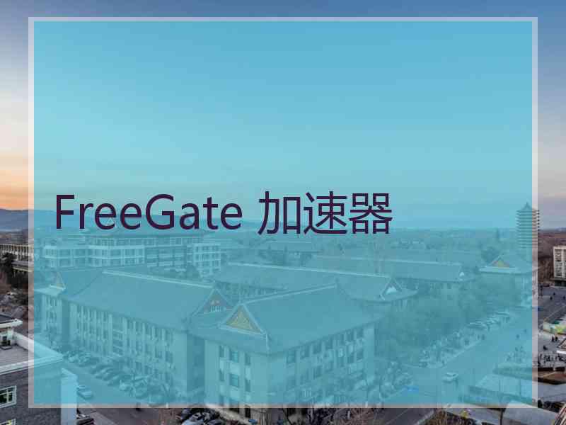 FreeGate 加速器