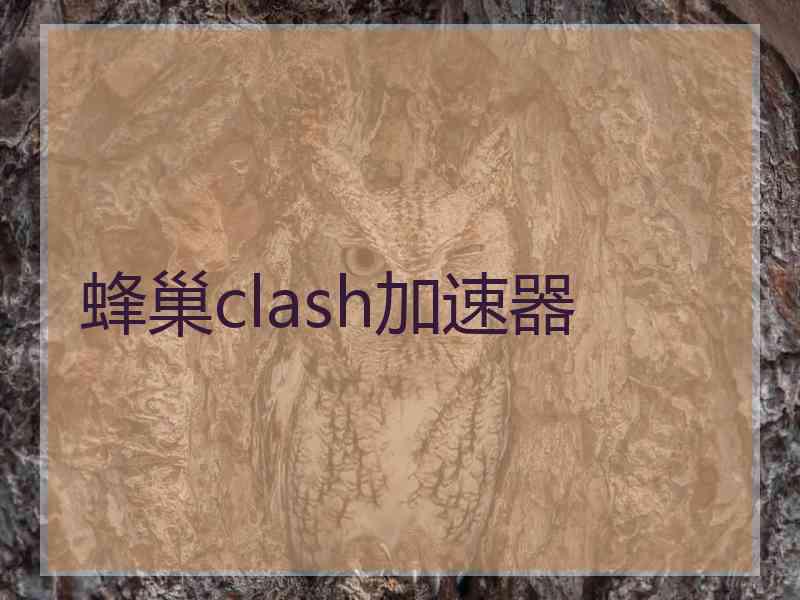 蜂巢clash加速器