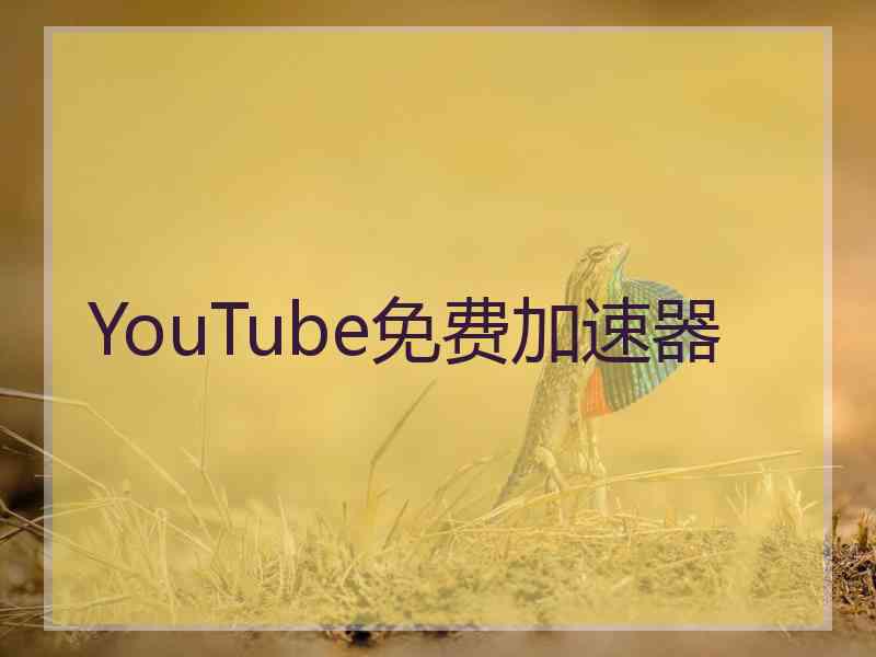 YouTube免费加速器