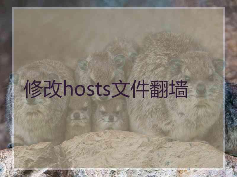 修改hosts文件翻墙