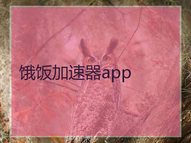 饿饭加速器app