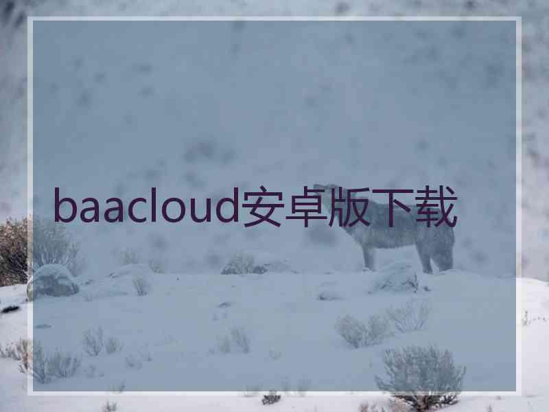 baacloud安卓版下载