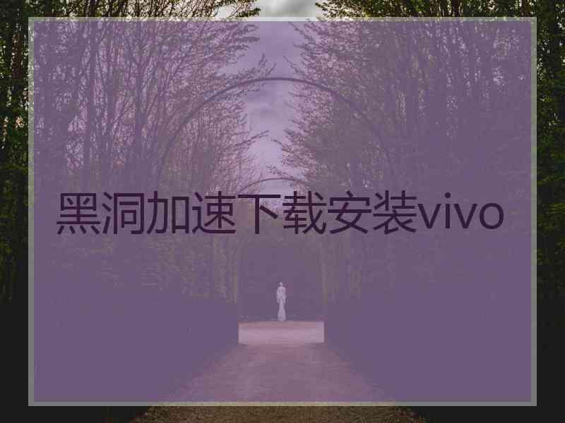 黑洞加速下载安装vivo