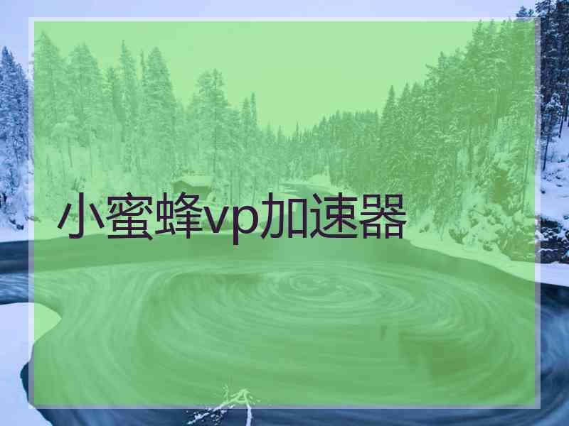 小蜜蜂vp加速器