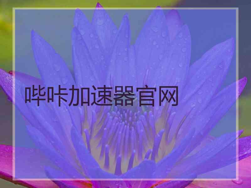 哔咔加速器官网