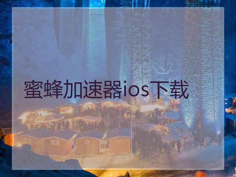 蜜蜂加速器ios下载