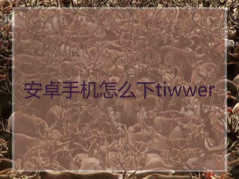 安卓手机怎么下tiwwer