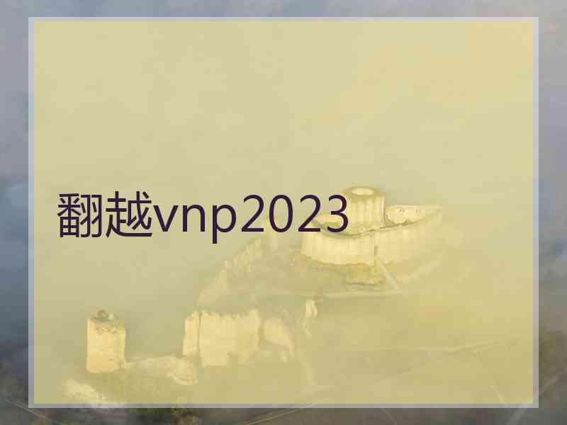 翻越vnp2023