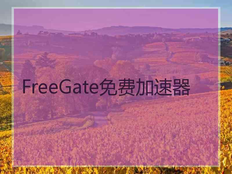 FreeGate免费加速器