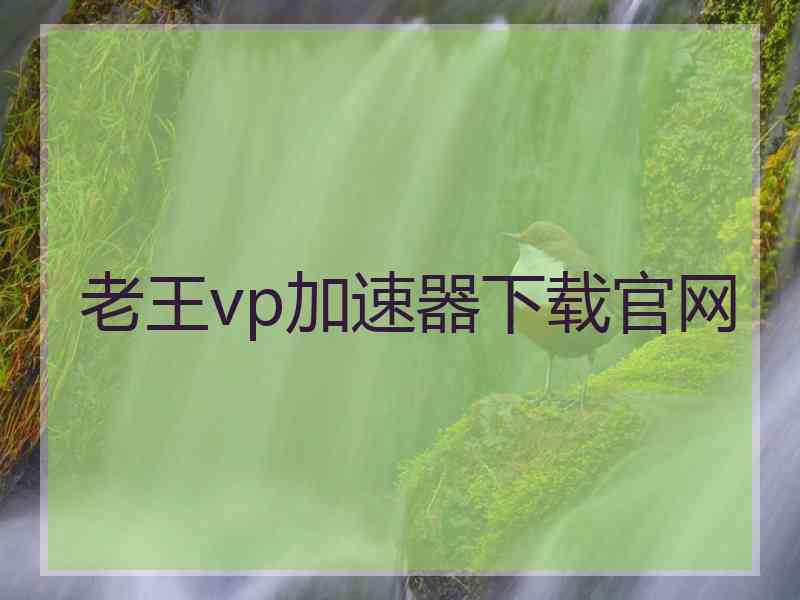 老王vp加速器下载官网