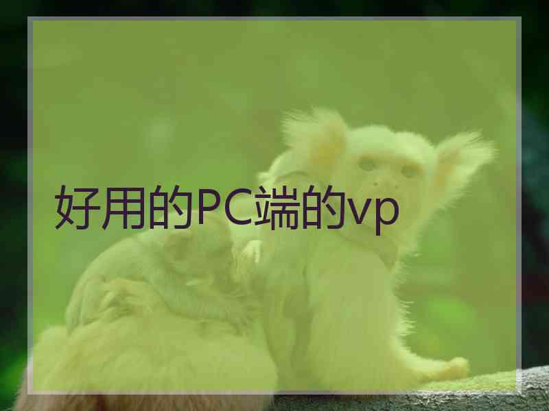 好用的PC端的vp