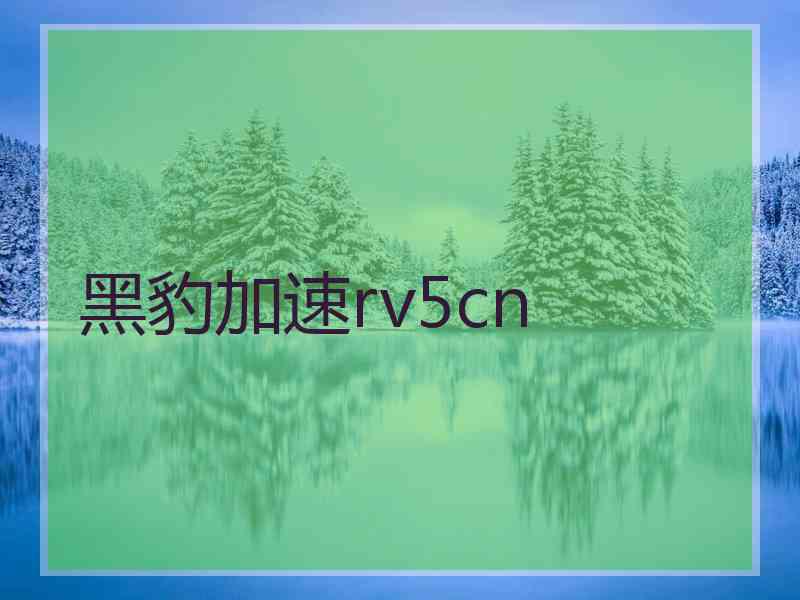 黑豹加速rv5cn