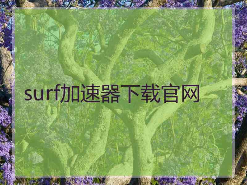 surf加速器下载官网