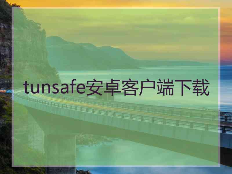 tunsafe安卓客户端下载