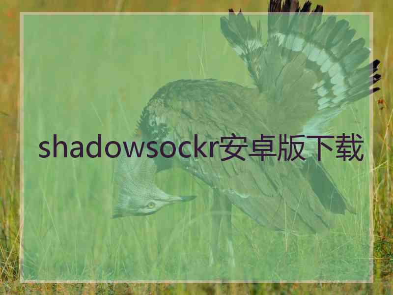 shadowsockr安卓版下载