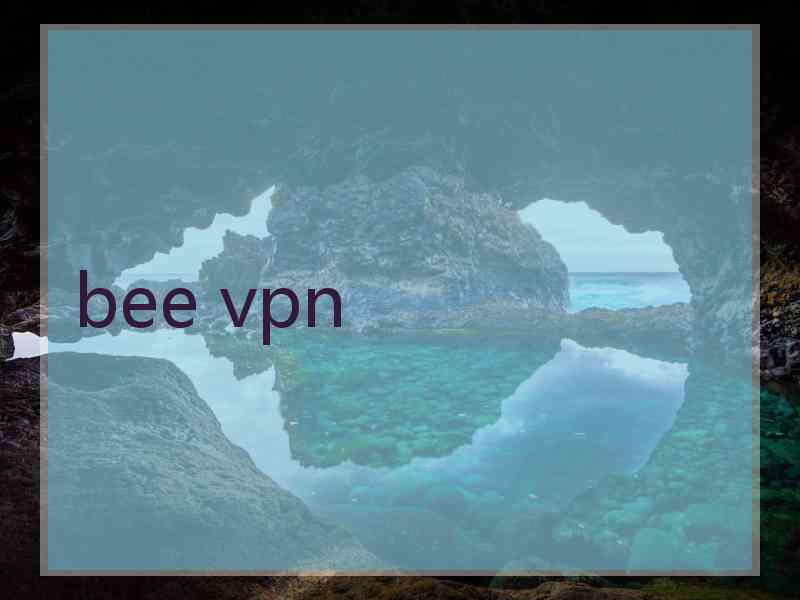 bee vpn